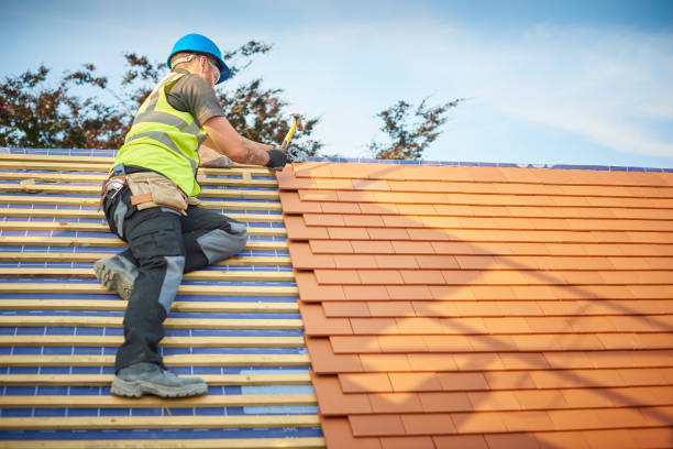Best Roof Coating and Sealing  in West Mountain, UT